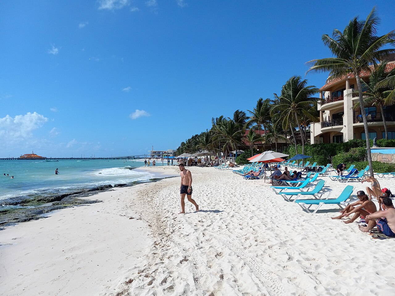 White-sand beach with palm trees and loungers